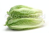 romaine lettuce Image